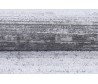 Dywan California 00.01a light gray