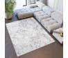 Dywan Senso 00.283b light gray
