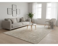 Oryginalny Dywan Monaco JE21 beige