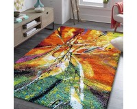 Dywan Paris 00.12 multicolor [DP]