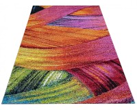 Dywan Paris 00.11 multicolor [DP]