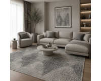 Dywan Ravena 00.1556 gray