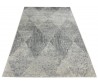 Dywan Ravena 00.1556 gray