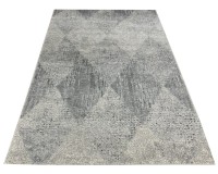 Dywan Ravena 00.1556 gray