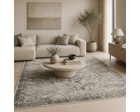 Dywan Ravena 00.4630 beige