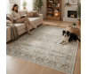 Dywan klasyczny wzór Windsor 005 beige
