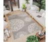 Dywan Ave.97b gray