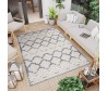 Dywan Ave.33a gray