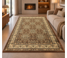 Dywan do salonu tradycyjny Orient N005 brown