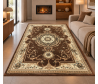 Dywan do salonu tradycyjny Orient N003 brown