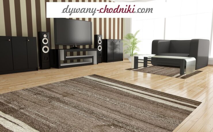 dwa dywany do salonu